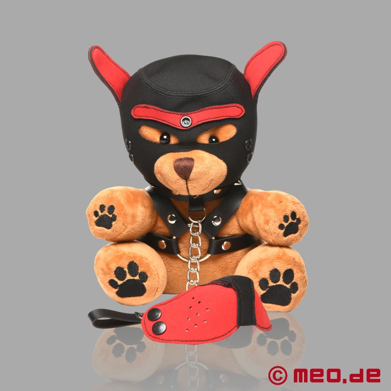 BDSM plyšový medvedík - Pup Bear