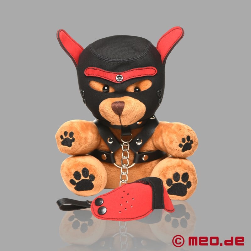 BDSM Teddy mackó - Pup Bear