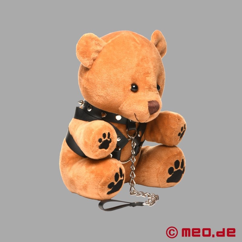 BDSM Teddy mackó - Pup Bear