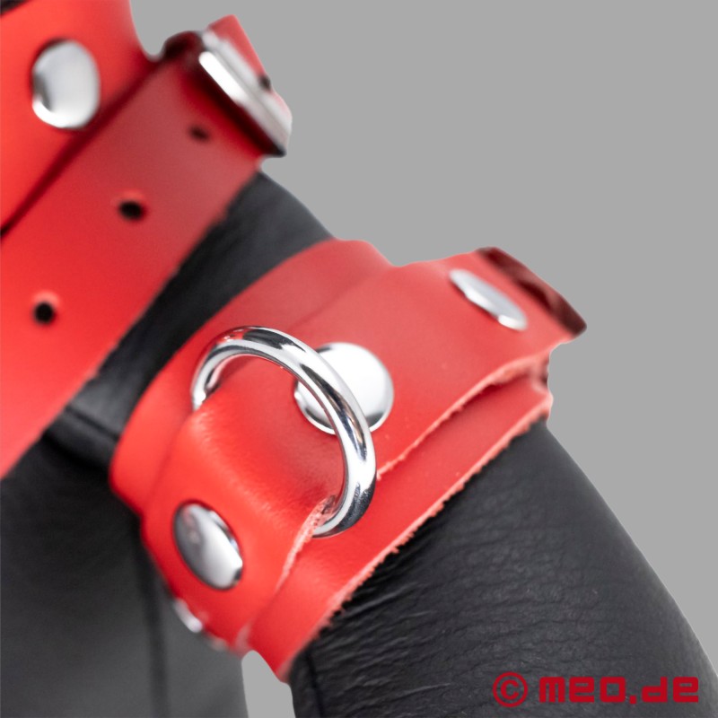 BDSM Leather Teddy Bear - Red Randy