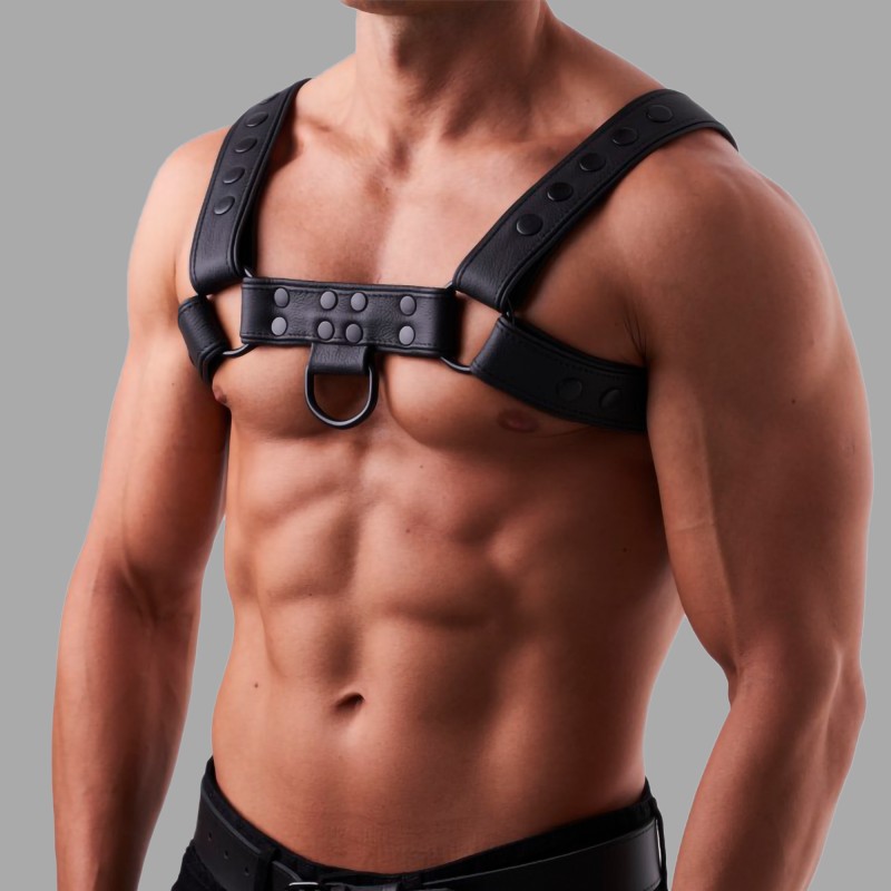 Arreio em couro macio - 1