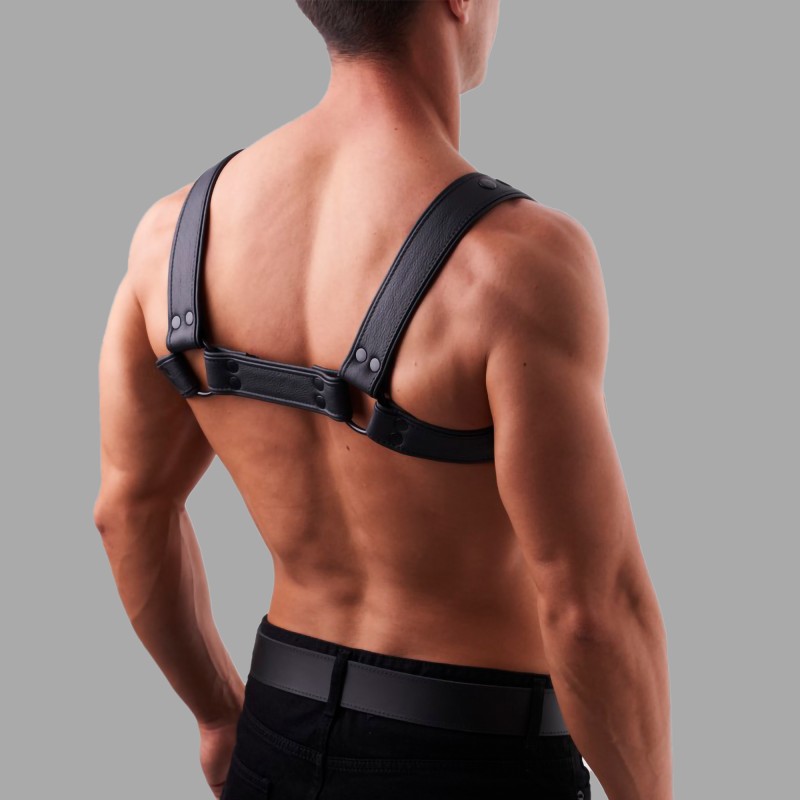 Arreio em couro macio - 2