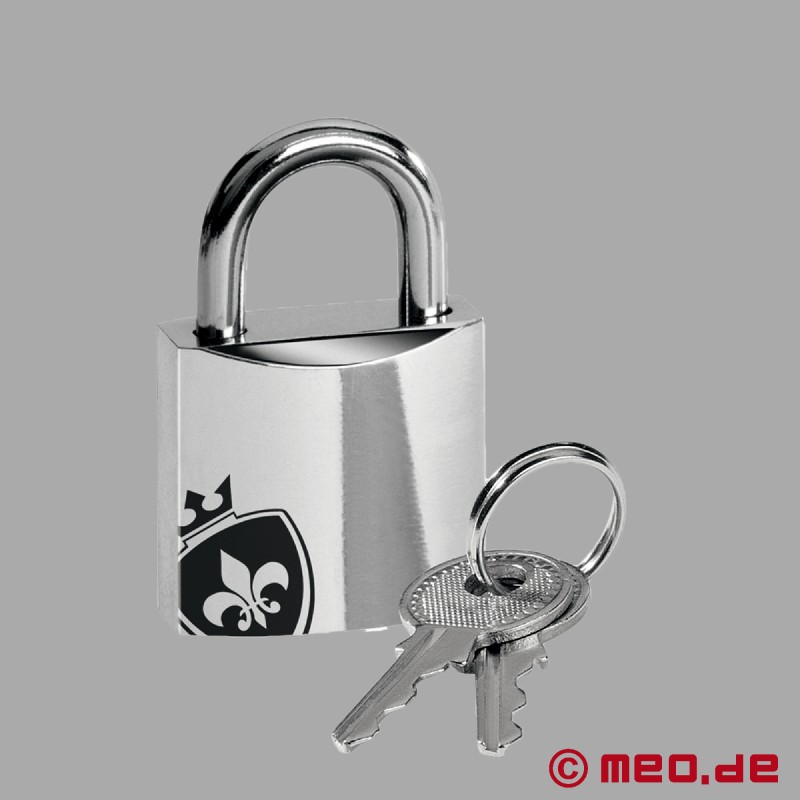PUBIC ENEMY NO 2 - Centură de castitate / cușcă de castitate cu E-Stim - Mystim Electrosex