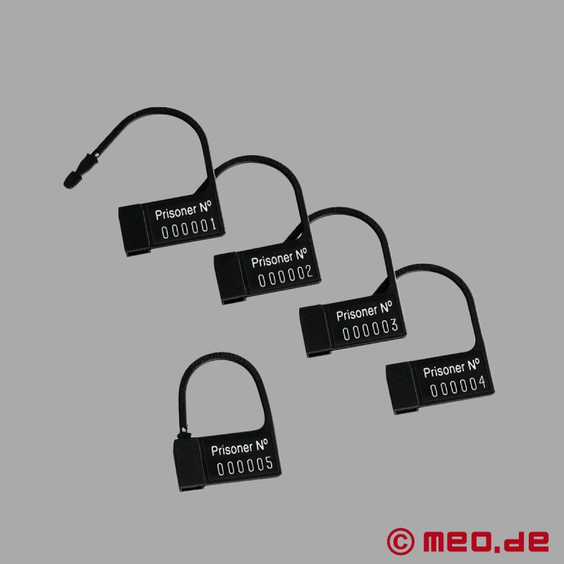 PUBIC ENEMY NO 2 - Centură de castitate / cușcă de castitate cu E-Stim - Mystim Electrosex