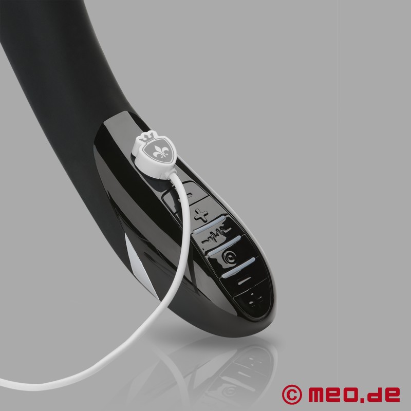 ELECTRIC ERIC – Vibromasseur avec électrostimulation - Mystim Electrosex