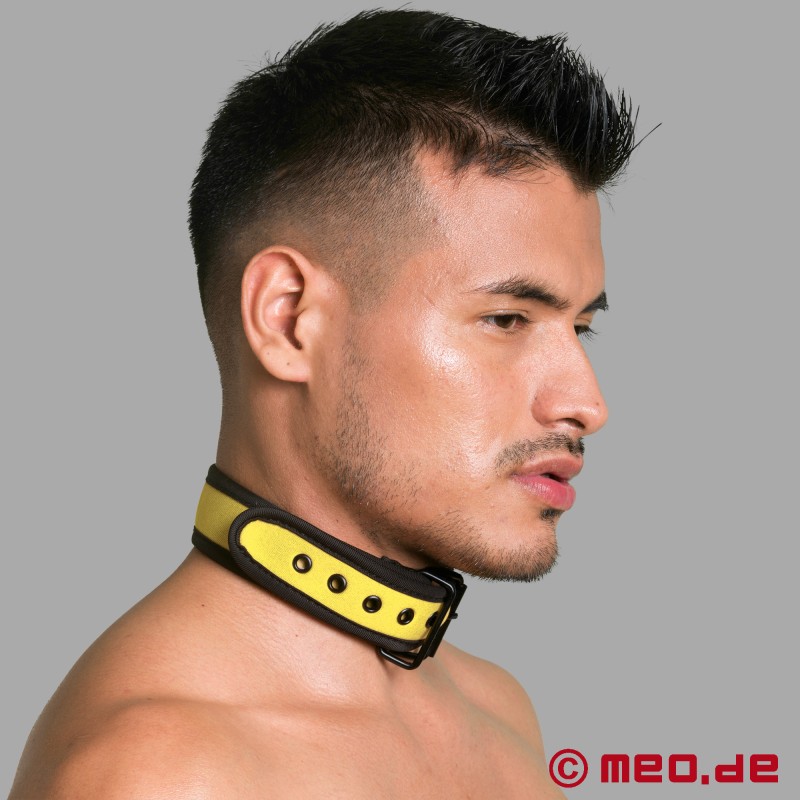 Coleira de neoprene BDSM em amarelo