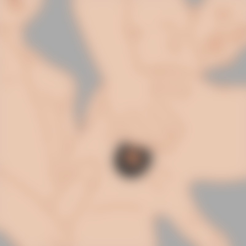 Anal Stretching Ring - Fuck Hole Trainer - Anal Plug mit Tunnel - 2