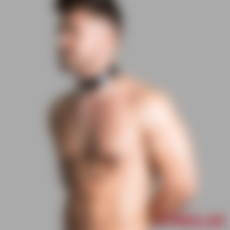 BDSM-krave med brystvorteklemmer - vegansk læder - 3