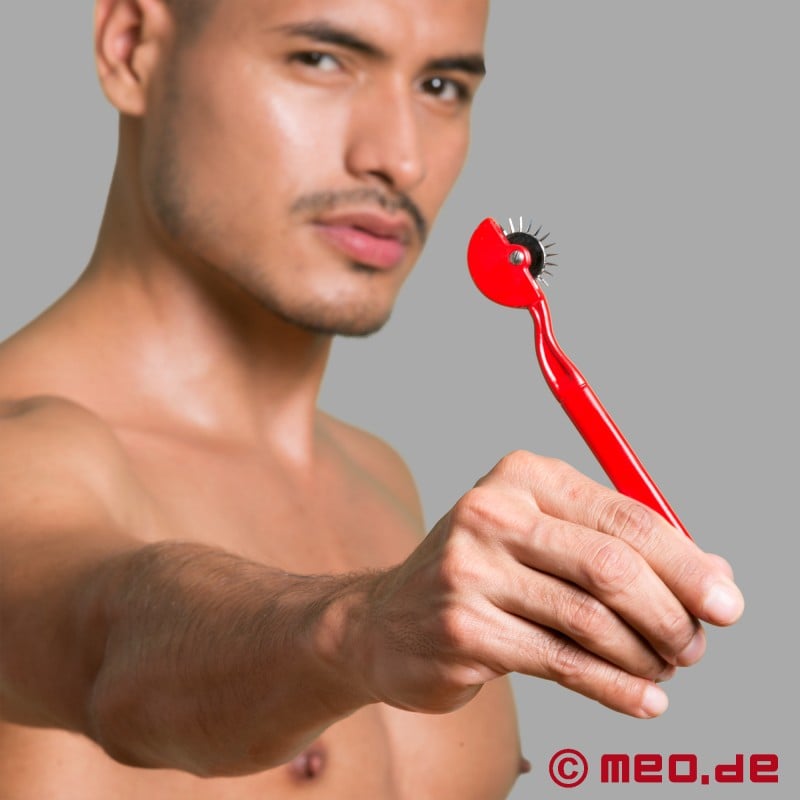 Dr. Sado Wartenberg Pinwheel in Red