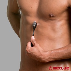 Double roulette de Wartenberg noire du Dr. Sado