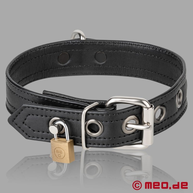 Lockable Leather Collar - San Francisco Collection