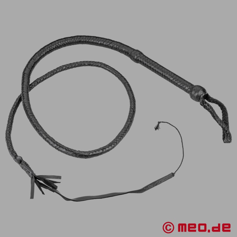 BDSM zweep Target Zweep - 2