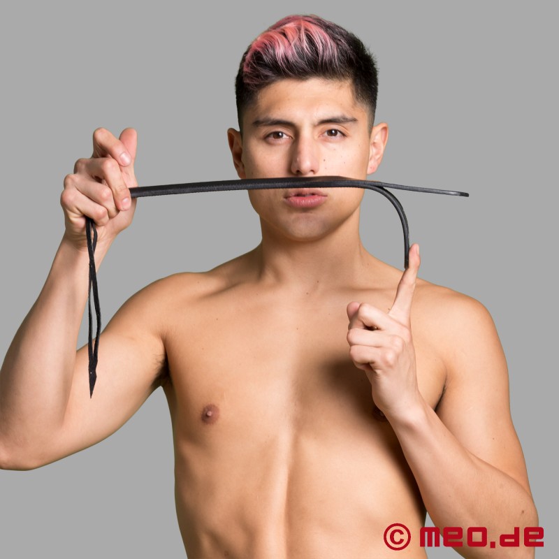 Dogging Bat - BDSM bofetada para castigar - 3