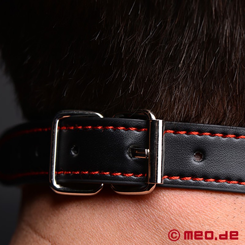 Human Pup - Gag - black dog bone gag - 5