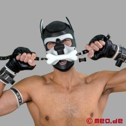 Human Pup - Gag - white dog bone gag