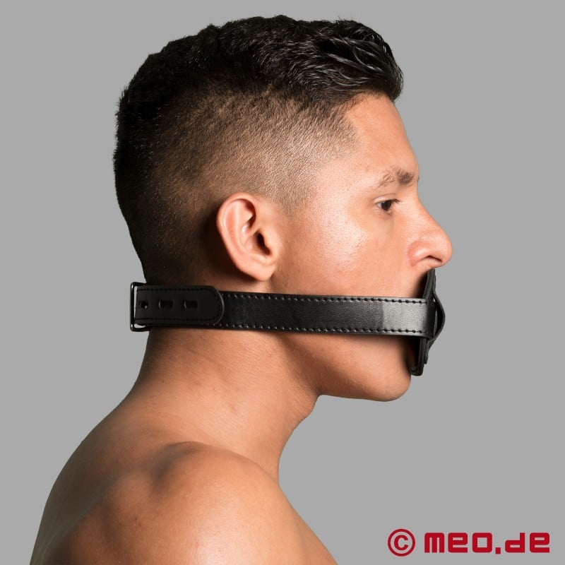 Gag med penis - mun Gag med dildo