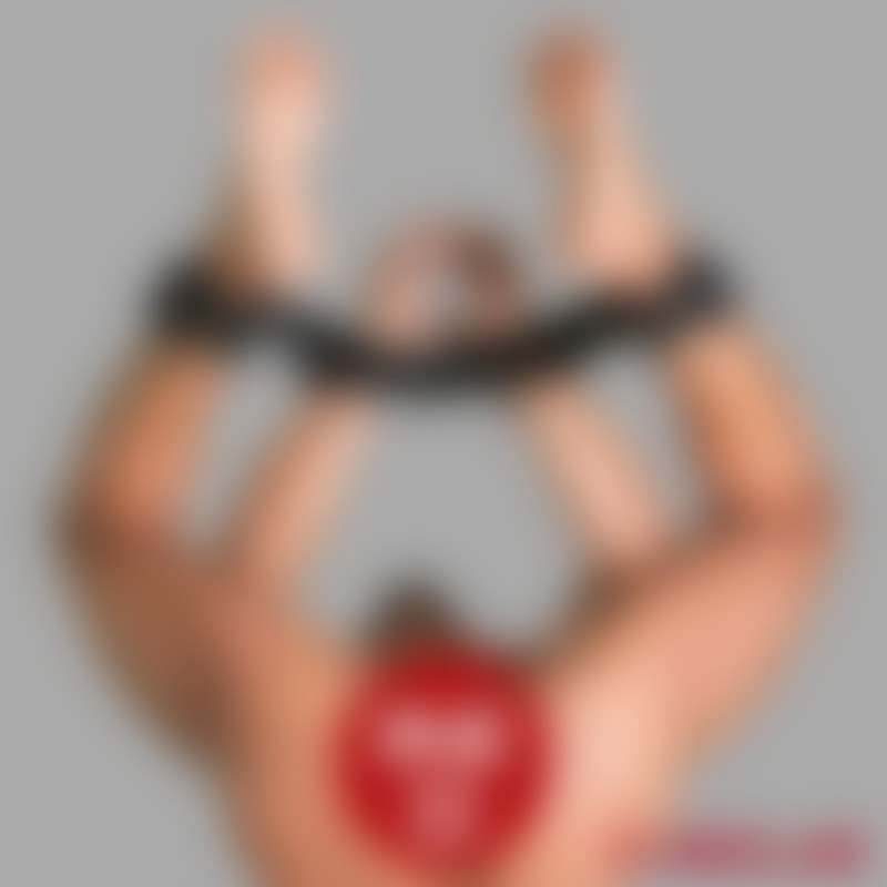 Manette combinate per mani e piedi in pelle di MEO® - 4