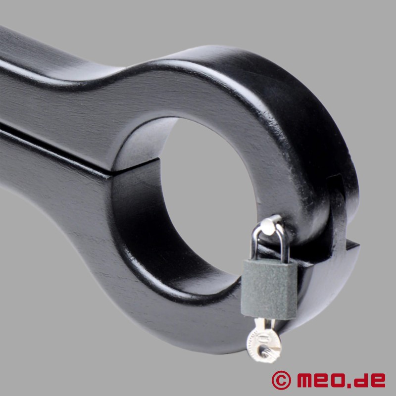 Dr Sado'nun BDSM el/testis boyunduruğu - 3