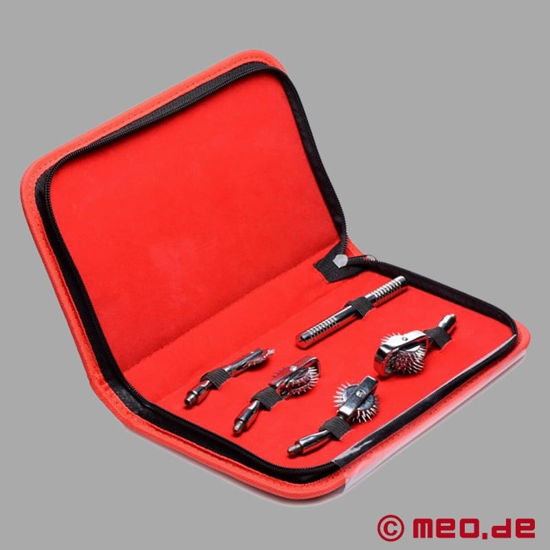 Dr. Sado Pinwheel Set für BDSM