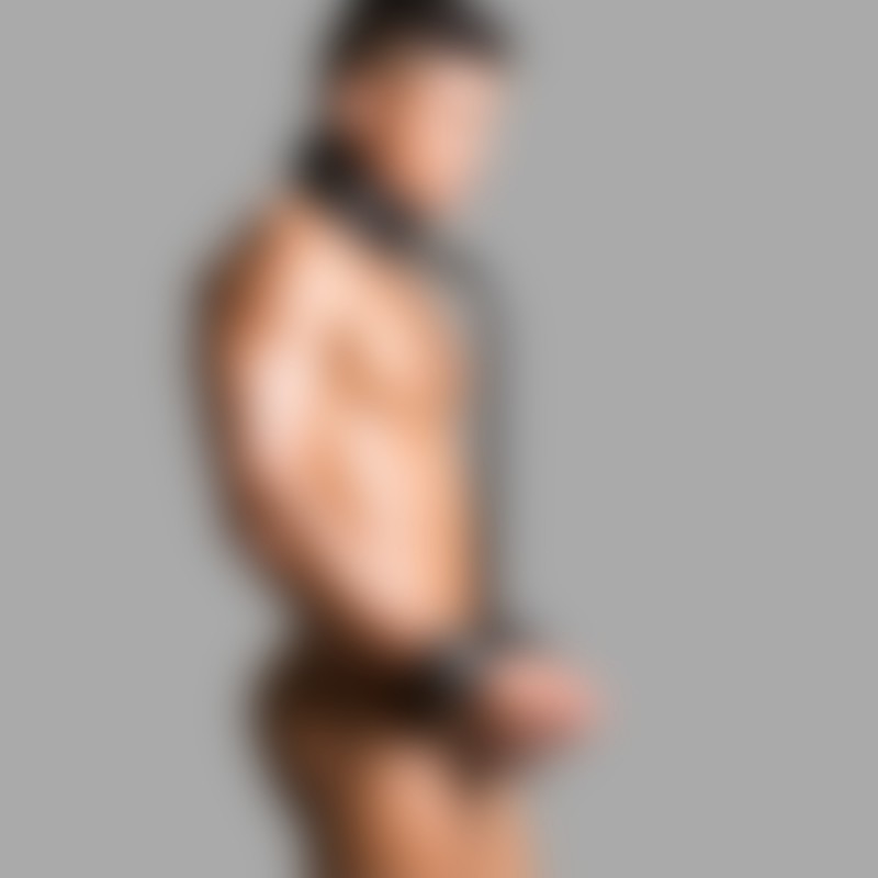 THE SLAVE - Portable BDSM pillory - 1