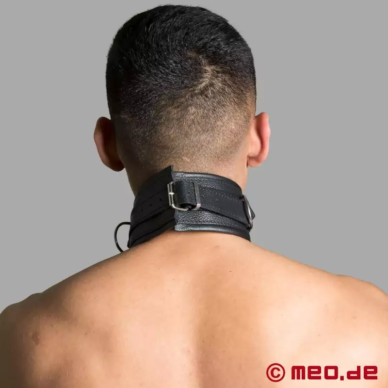 Buy BDSM collar in leather with spikes and D rings from MEO BDSM  