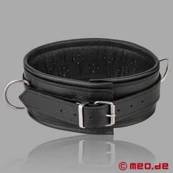 BDSM collar in leather with spikes and D-rings