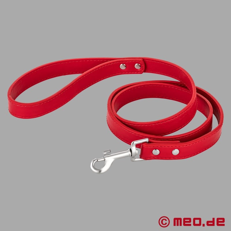 Laisse Bad Puppy – Laisse d’esclave – Laisse pour chien