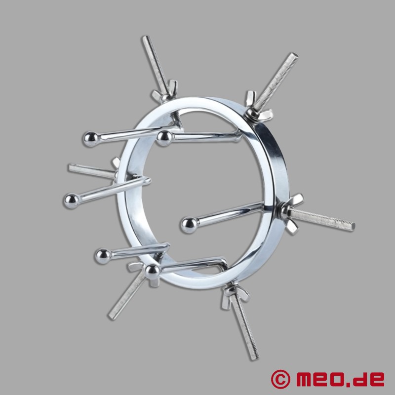 Ring speculum for anal dilation - DAS LOCH 2.0