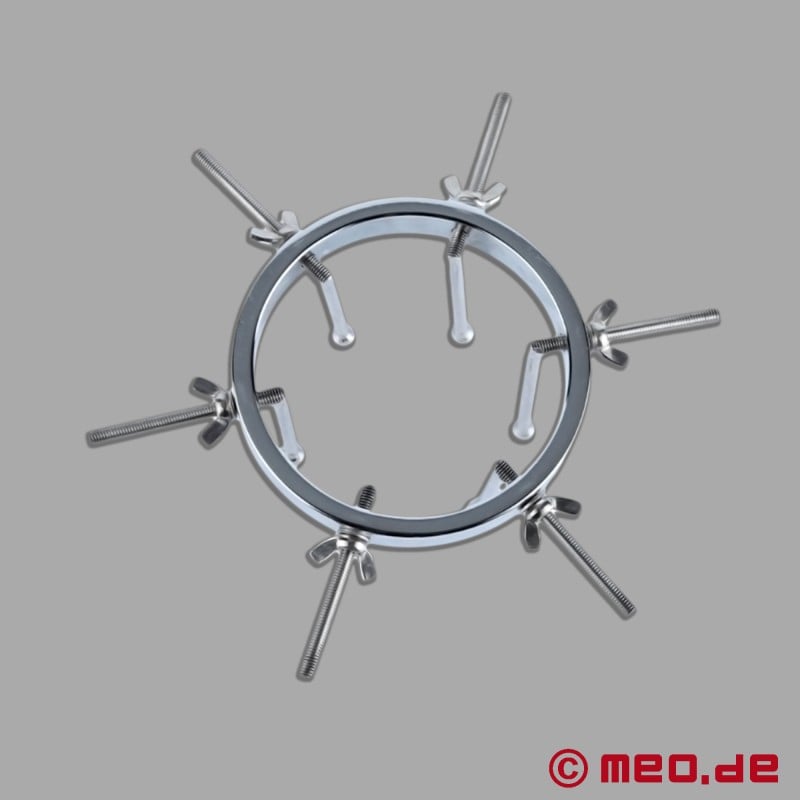 Ring speculum for anal dilation - DAS LOCH 2.0