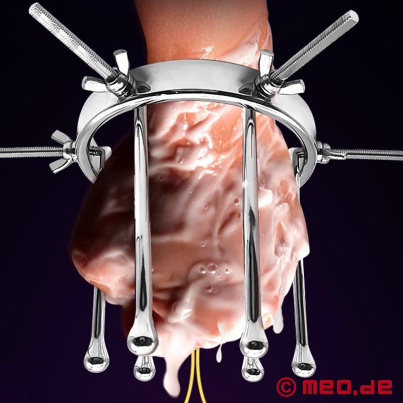 Ring speculum for anal dilation - DAS LOCH 2.0