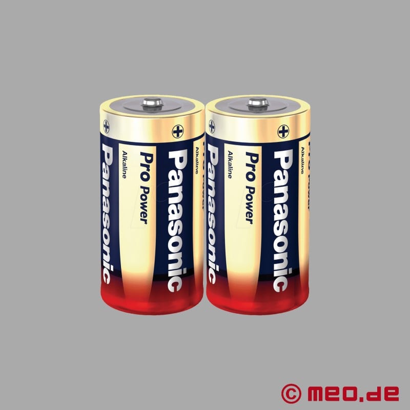 2 Batterien von Panasonic / Baby (LR 14)