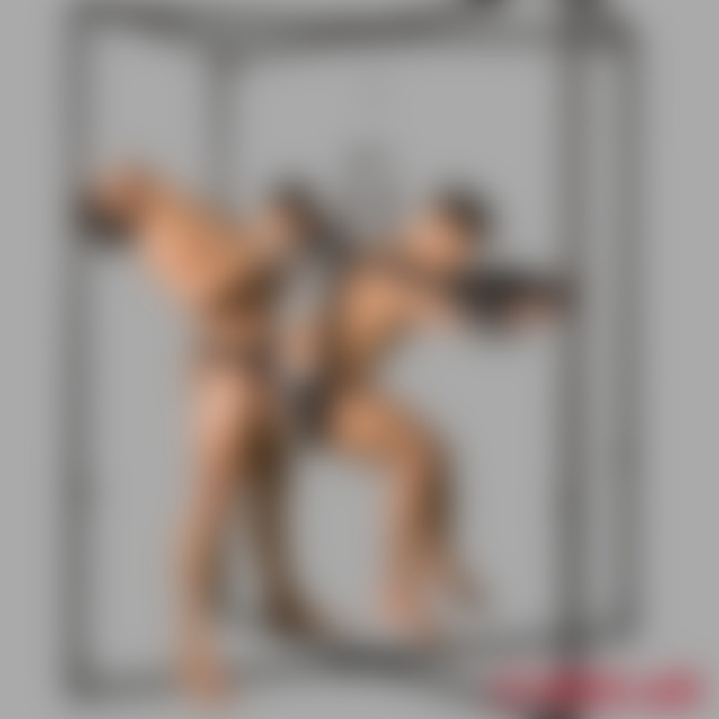 BDSM love swing - Sex Swing Multi Vario - up to max. 150 kg - 3