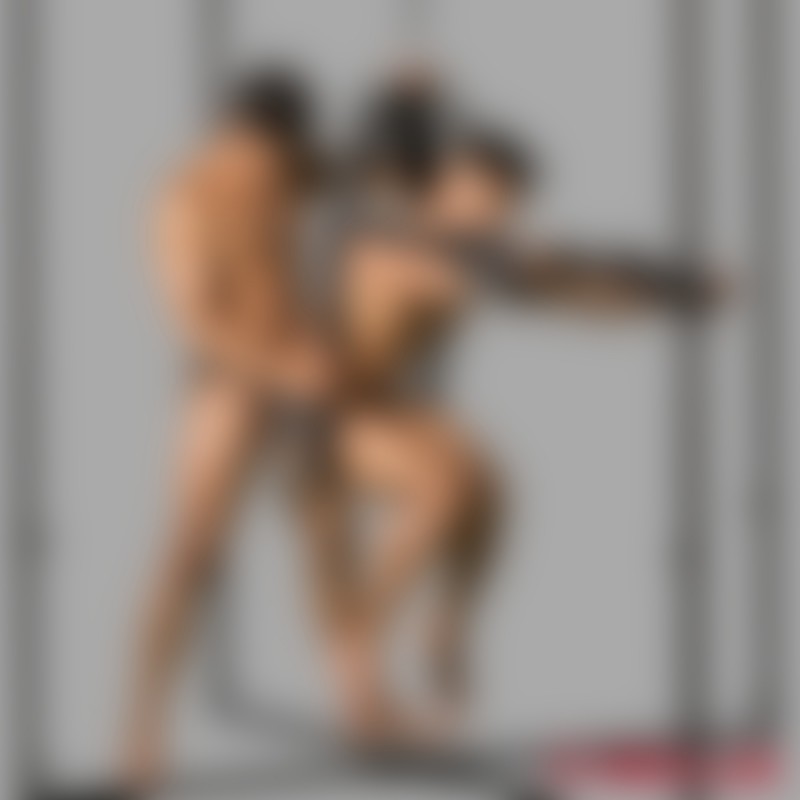 BDSM liefdesschommel - Sexschommel Multi Vario - tot max. 150 kg - 4