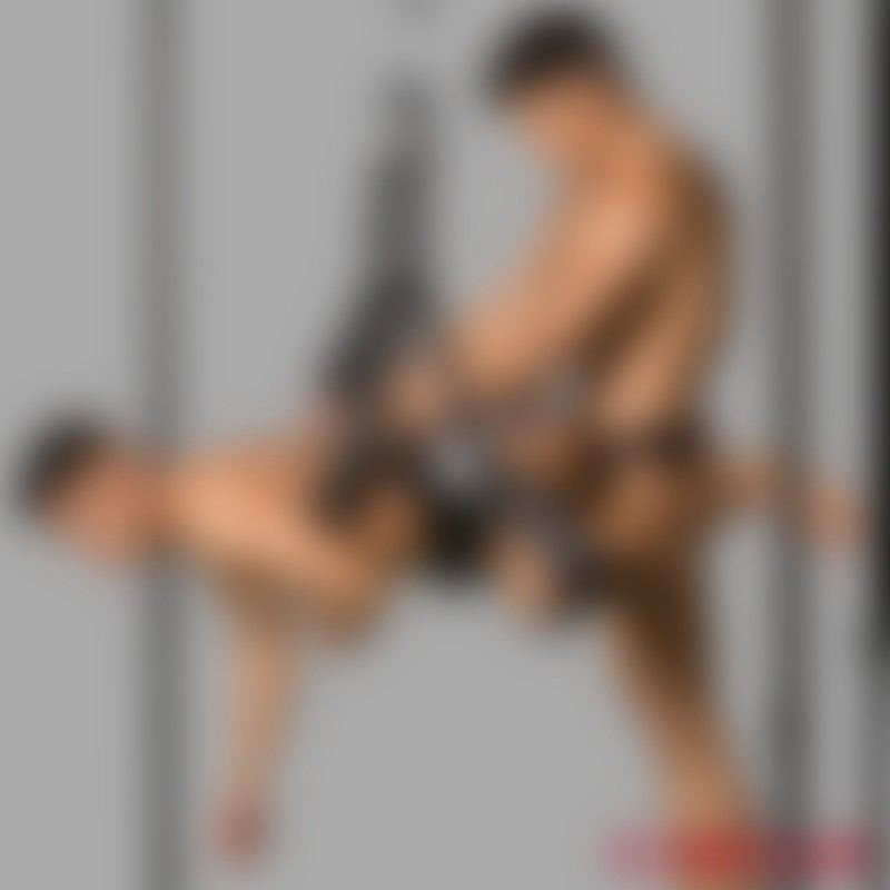 BDSM love swing - Sex Swing Multi Vario - up to max. 150 kg - 7
