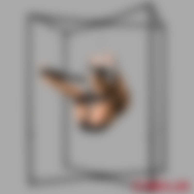 BDSM love swing - Sex Swing Multi Vario - up to max. 150 kg - 11