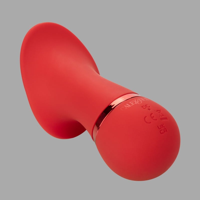 Vibrator de lustruit - French Seducer