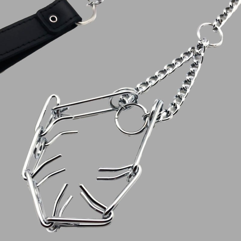 CBT SLAVE - Penis choker with leash by Dr. Sado