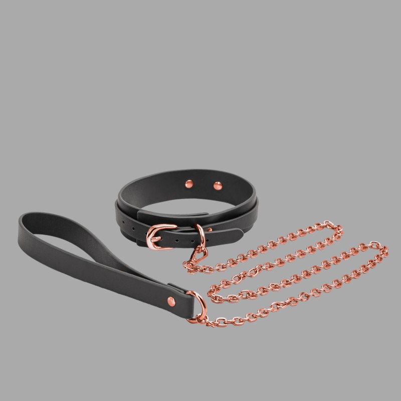 BDSM collar with leash