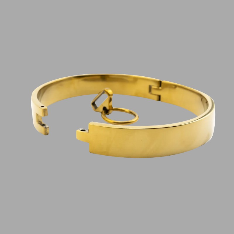 Gouden bondagehalsband van de O