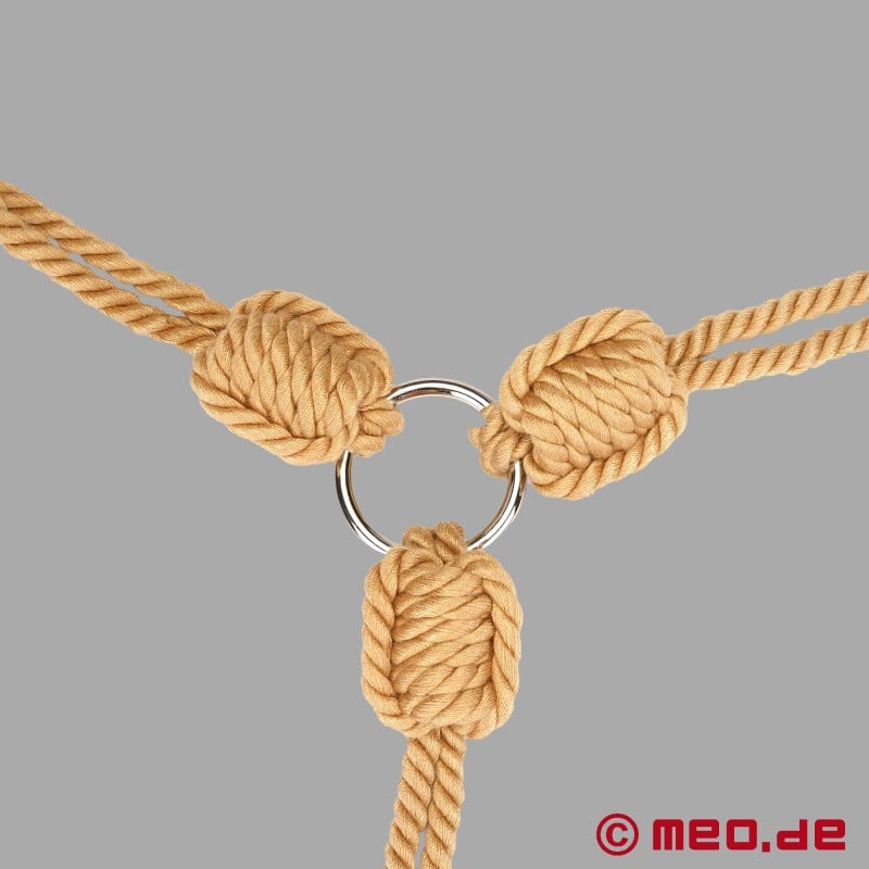 Shibari - cuerda combinada de cuello y esposas