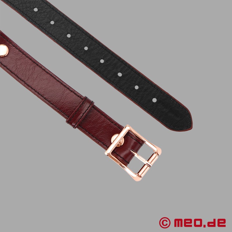 БДСМ с кляпом в виде шарика - Noblesse Collection - 6