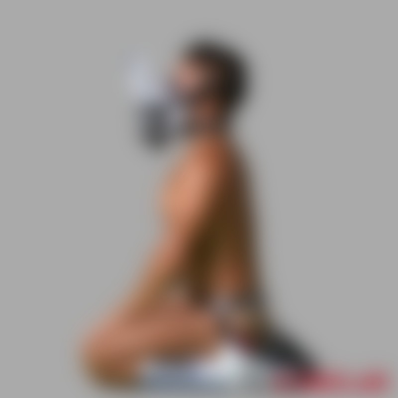 SniffMySneaker™ 2.0 da MEO® - Arnês de couro para a cabeça/cara - 1