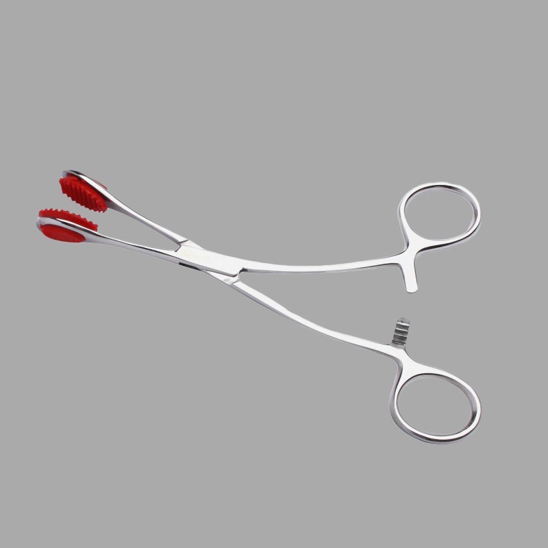 BDSM Nippelklammer und Genitalklammer - 2