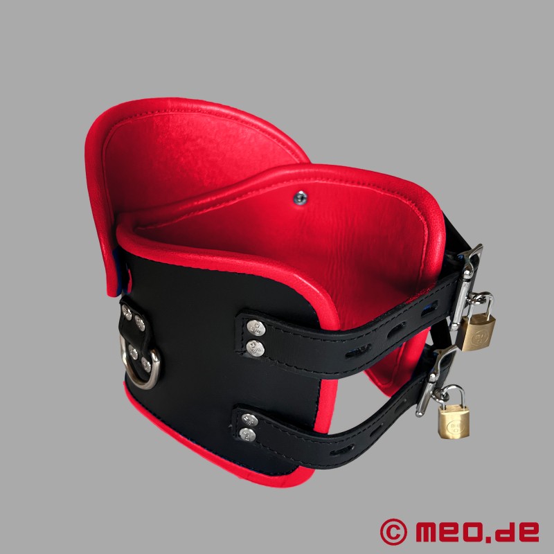 BDSM Posture Collar aus Leder – schwarz/rot