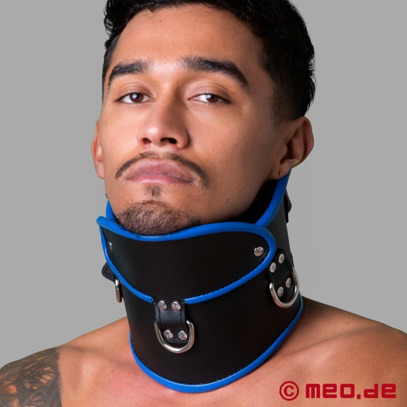 Abschließbares Posture Collar aus Leder – schwarz/blau