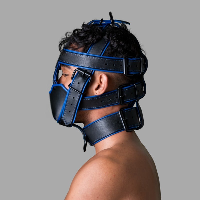 Leather Head Harness - Deluxe San Francisco