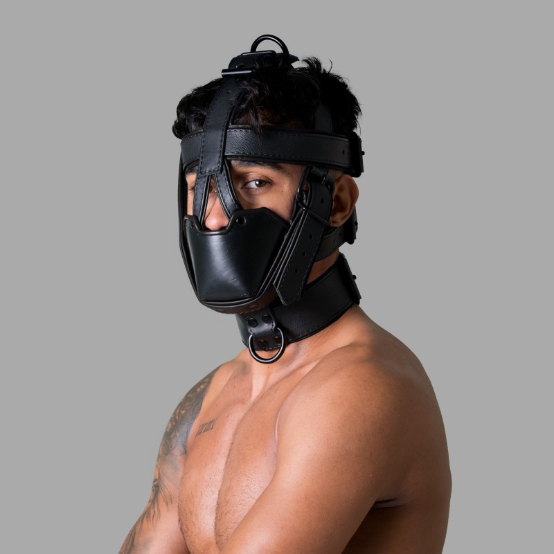 Leather Head Harness - Deluxe San Francisco