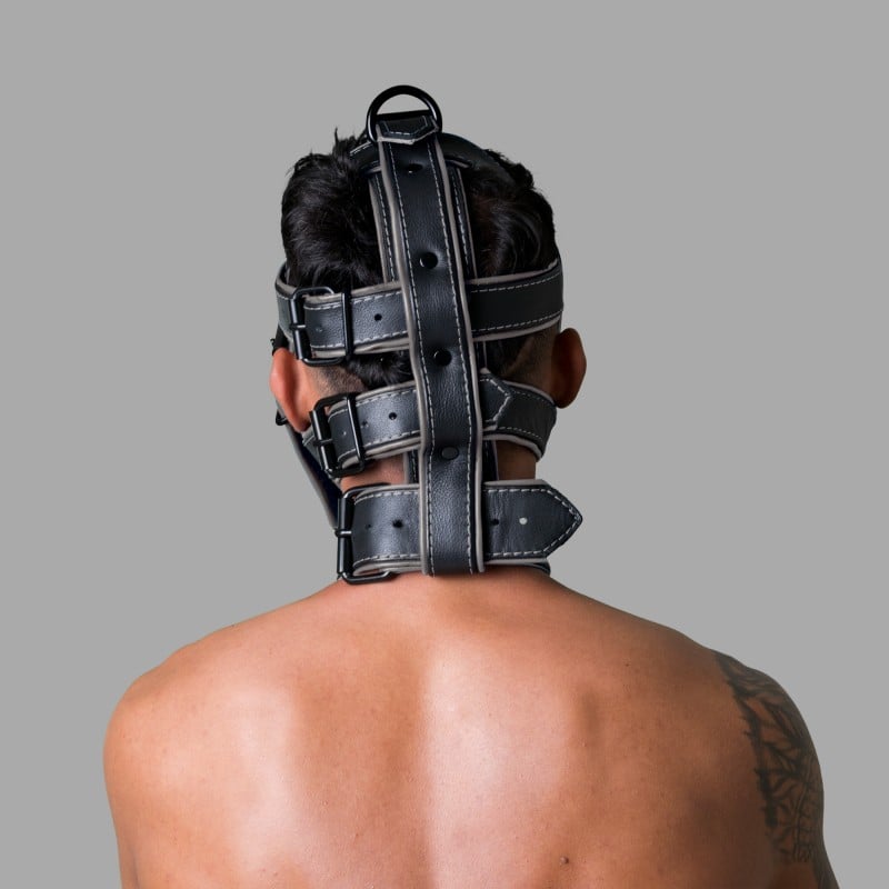 Leather Head Harness - Deluxe San Francisco