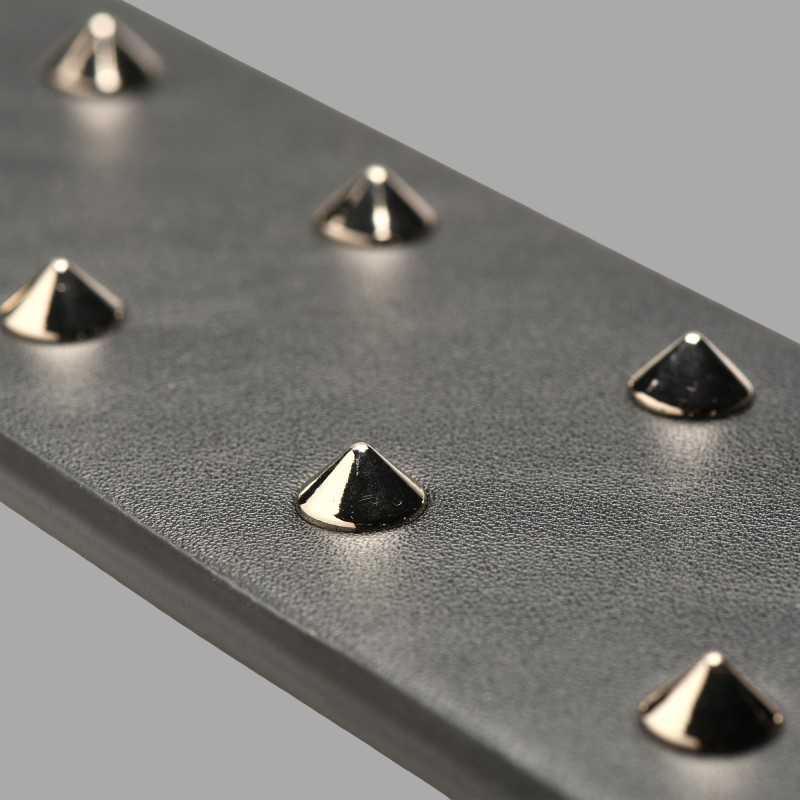 E-stim spanking paddle con pinchos: una experiencia electrizante del Dr. Sado - 3