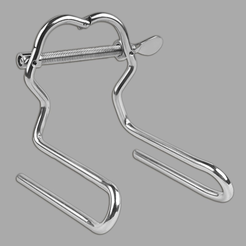 BDSM analspridare - 4